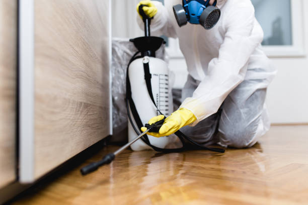 Best Termite Control Services  in Cocoa West, FL
